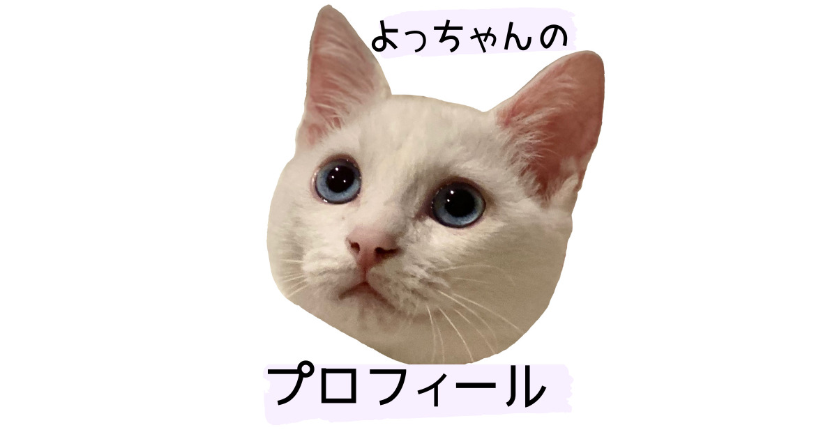 よっちゃんのプロフィール